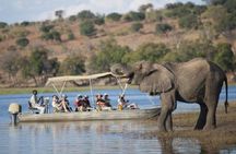 1 Night Chobe National Park Camping Safari