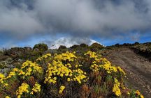 Mt.kilimanjaro-marangu Route