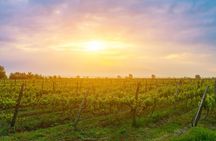  Kakheti wine region - Private Tour 