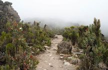 Mt.kilimanjaro-machame Route
