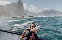 Cape of Good Hope & Penguin Private Tour from Cape Town