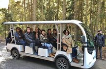 Uplistsikhe and Borjomi - Private Tour 