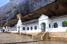 Kandy to Dambulla Cave Temple and Sigiriya - Day Tour
