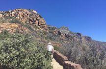 Cape of Good Hope-Penguin-Private Tour Combined With Wine Tasting Full Day Tour 