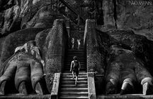 Day Trip To Sigiriya & Dambulla Temple with Free Sri Lankan Lunch
