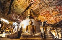 Day Trip To Sigiriya & Dambulla Temple with Free Sri Lankan Lunch