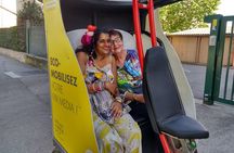 1 or 2-Hour Pedicab tour of Lyon
