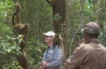 Madagascar Wildlife Tour for 02 days