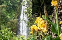 Materuni Waterfalls & Coffee Farm Tour