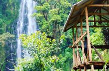 Materuni Waterfalls & Coffee Farm Tour