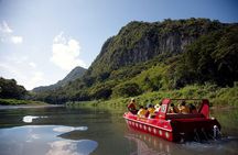 Half Day Sigatoka River Jetboat & Village Tour with Lunch & Transfers 