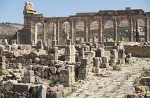 Volubilis and Meknes Day Tour from Fez (private tour)