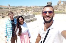 Volubilis and Meknes Day Tour from Fez (private tour)