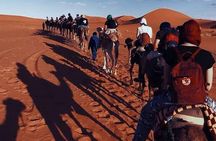 Overnight Luxury Desert Trip Form Fez To Fez