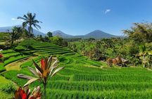 Solo or Group Tour - 10 Hours, 5 Persons Max