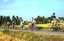 Full-day Limousine Group Mekong Delta Cruise from HCM City