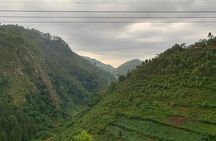 6 Day Uganda Gorilla Safari and Lake Bunyonyi Homestay Experience