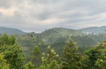 6 Day Uganda Gorilla Safari and Lake Bunyonyi Homestay Experience