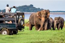 One day Yala National Park from Galle/Hikkaduwa/Mirissa/Unawatuna