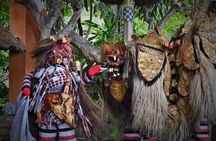 Famous Ubud villlage and Dance Tour with Rice Terrace And Waterfall Visit