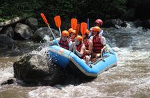 Ubud Green Rafting Ticket And Transfer