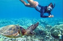 All INCLUSIVE Bali snorkeling at blue lagoon and tanjung jepun