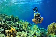 All INCLUSIVE Bali snorkeling at blue lagoon and tanjung jepun