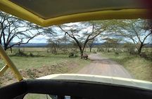 Tour Nairobi National Park