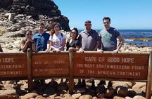 Private Tour with Wine Expert to Cape of Good Hope & Constantia Wine Region