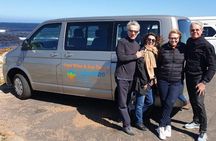 Private Tour with Wine Expert to Cape of Good Hope & Constantia Wine Region