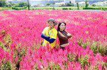 Taichung Must-Visit Join In Day Tour from Taipei 