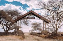 6 days 5 nights safari Ngorongoro, Serengeti and Tarangire National Parks