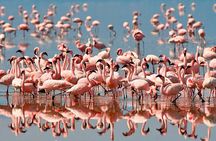 6 days 5 nights safari Ngorongoro, Serengeti and Tarangire National Parks
