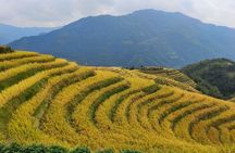 Longji Rice Terraces Day Tour from Guilin hotel