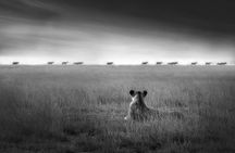 4 days safari in Tanzania