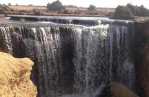 Valley of Whales and Wadi El Rayan Water Falls Day Tour from Cairo