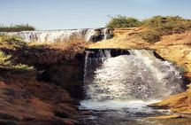 Valley of Whales and Wadi El Rayan Water Falls Day Tour from Cairo