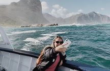 Cape of Good Hope & Penguin Private Tour from Cape Town