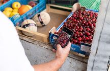 Cesarine: Market Tour & Cooking Class at Local's Home in Siena