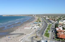 City Tour and Sea Lions at Punta Loma from Puerto Madryn