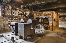 Krakow to Auschwitz Birkenau and Salt Mine 1 Day Tour FREE ebook 