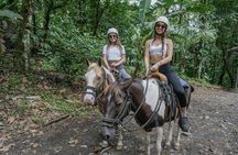 Arenal River Tubing & Horseback Riding Adventure