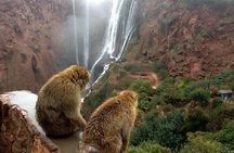 Ouzoud WaterFalls