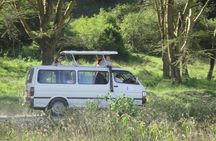 Lake Nakuru National Park Day Tour Via Lake Naivasha