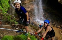 Rainforest Falls& Volcano Hike + Paradise Hot Springs
