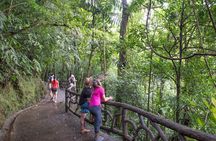 Mistico Hanging Bridges AM or PM, Guide & Transport