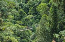 Mistico Hanging Bridges AM or PM, Guide & Transport