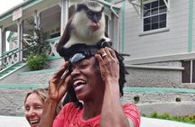Funtastic 4 x 4 Safari & River Tubing Adventure Grenada