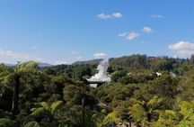 4-Day Auckland to Wellington via Rotorua Tour