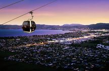 4-Day Auckland to Wellington via Rotorua Tour